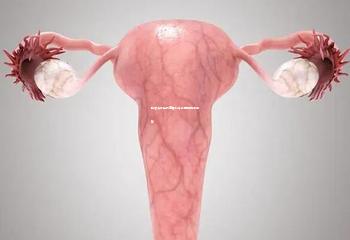 哈尔滨最佳试管婴儿专业医院选择指南 哈尔滨最佳试管婴儿专业医院选择指南