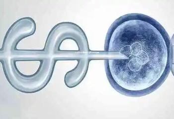武汉三代试管包男孩生育技术价格解析