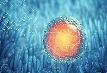 三代试管婴儿技术能否选择性别：解析现代生殖医学的真相
