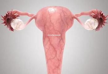 保定最佳试管婴儿医院选择指南 保定最佳试管婴儿医院选择指南
