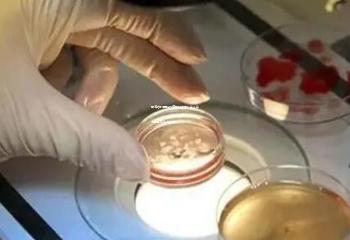 临海台州医院试管婴儿技术：专业实力与孕育希望之选