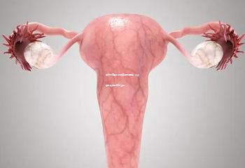 重庆试管婴儿成功率领先医院：专业团队助力孕育新生命