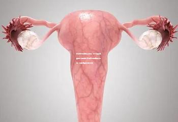 南通妇幼保健院与附院：守护母婴健康的前沿阵地或南通妇幼保健院及附院：母婴健康的温馨港湾