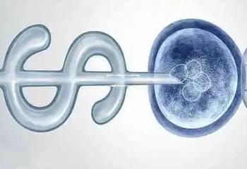 厦门三代试管婴儿技术实施情况探究：生殖医疗领域的新动态
