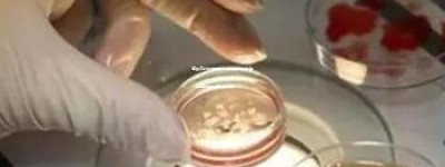 南京三代试管医院：专业孕育新希望，前沿科技助您一臂之力