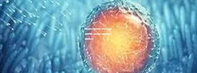 温州医科大学附属第一医院试管婴儿费用详解：价格透明，高品质服务为您保驾护航
