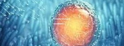 三代试管婴儿技术能否选择性别：解析现代生殖医学的真相