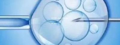 三代试管南京生殖中心取卵后移植时间安排解析