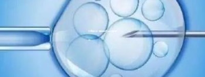试管包成功：医院的信誉与成功率解析