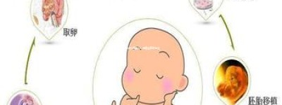 为何选择试管婴儿：探索生育新途径