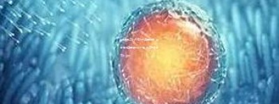 中山医院三代试管技术费用详解：全面解析费用构成与标准，助您安心孕育新生命