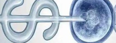 厦门三代试管婴儿技术实施情况探究：生殖医疗领域的新动态