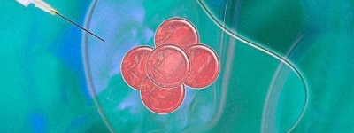 咸宁不孕不育医院前三名生殖科试管生子费用及成功率公布！