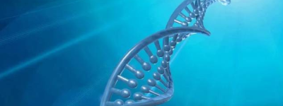大连生子医院做试管多少钱  内附最新做三代试管婴儿生子标准一览