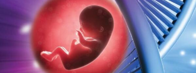 韶关不孕不育医院前三名生殖科试管生子费用及成功率公布！