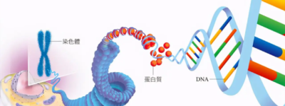 沈阳不孕不育医院前三名生殖科试管生子费用及成功率公布！