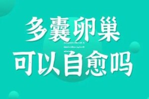 郑州私立医院三代试管技术排名，哪家医院三代试管最佳？专业三代试管医疗服务探究