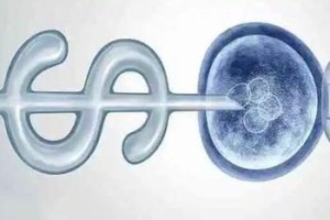 武汉三代试管技术哪里更可靠？