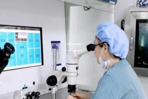 301试管与北医三院试管婴儿技术比较：技术与成功率差距分析