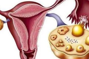 大连试管婴儿专业医院推荐：寻找最佳孕育中心