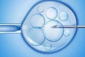 天津三代试管婴儿费用全解析：最新价格及影响因素探讨