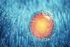 南昌试管婴儿费用全面解析：大概需要多少钱？