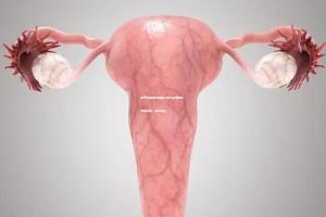 嘉兴妇保院试管婴儿技术实力解析：成功率高，专业可靠