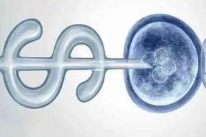 北京第三代试管婴儿优质医院推荐：专业选择哪家更好？