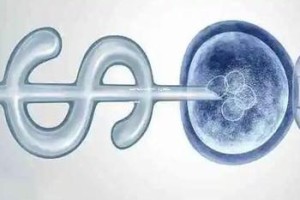 中山一院三代试管技术：专业解读与深度分析