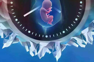 金华公立医院做三代试管婴儿生子费用及成功率一览！