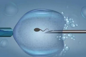衡水公立医院做三代试管婴儿生子费用及成功率一览！