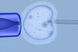 2025年汕头做三代试管婴儿生子费用大概要多少钱？