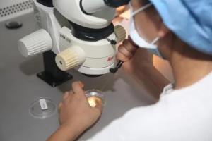 大连做三代试管婴儿生子医院排名   这3家医院生殖科做试管成功率高！