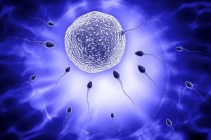 北京做三代试管婴儿生子医院看不孕不育好吗  一次做三代试管婴儿生子要多少钱