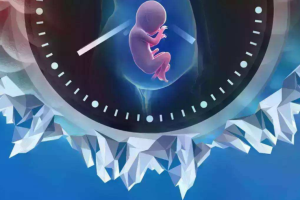 36岁做三代试管婴儿生子成功率高吗？做试管一次能不能怀上孩子