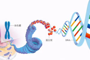 沈阳不孕不育医院前三名生殖科试管生子费用及成功率公布！