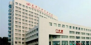 2024武汉大学中南医院可以做第三代试管婴儿吗？附武汉三代试管医院排名