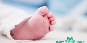 2024昆明试管婴儿成功率一览，附试管医生推荐