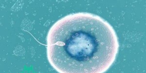 可以找亲人供卵生子吗？卵巢早衰患者做供卵去哪做？