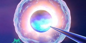 试管婴儿移植冷冻胚胎有什么好处？试管婴儿冷冻胚胎移植一次费用是多少？