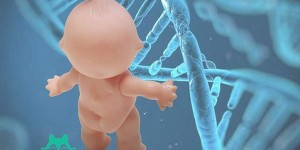 染色体变异可以做试管婴儿吗，做试管能生出健康的孩子吗？