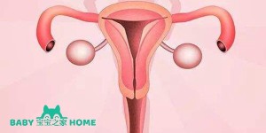 试管婴儿前为什么需要检查宫内环境？ 宫腔环境应该如何调理和治疗？