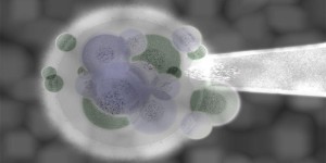 移植成功最明显的感觉，胚胎着床的12种征兆