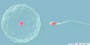 重庆试管婴儿有什么减免政策？高龄女性做试管移植适合多少胚胎？