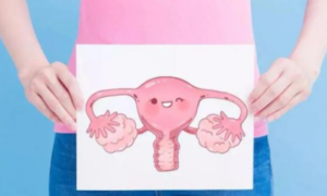 子宫粘连术后做试管成功率有多大，子宫黏连可以做试管吗