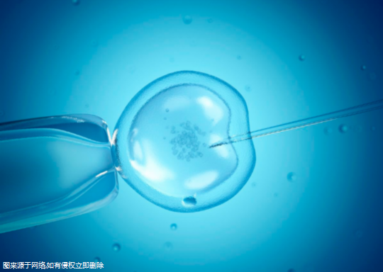 多卵巢能试管婴儿吗，卵巢多囊可以试管婴儿吗