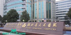 湖北省人民医院三代供卵包生男孩成功率