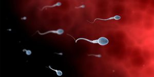精子成活率只有15%能不能做试管婴儿?
