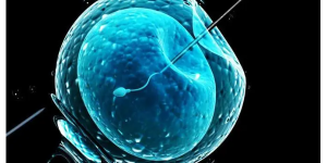 深入了解二代试管婴儿移植中适宜的胚胎数目！