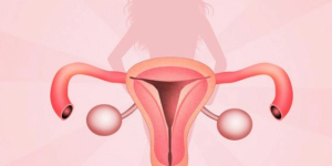 子宫内膜过厚会影响移植囊胚吗？子宫内膜过厚不会影响囊胚着床